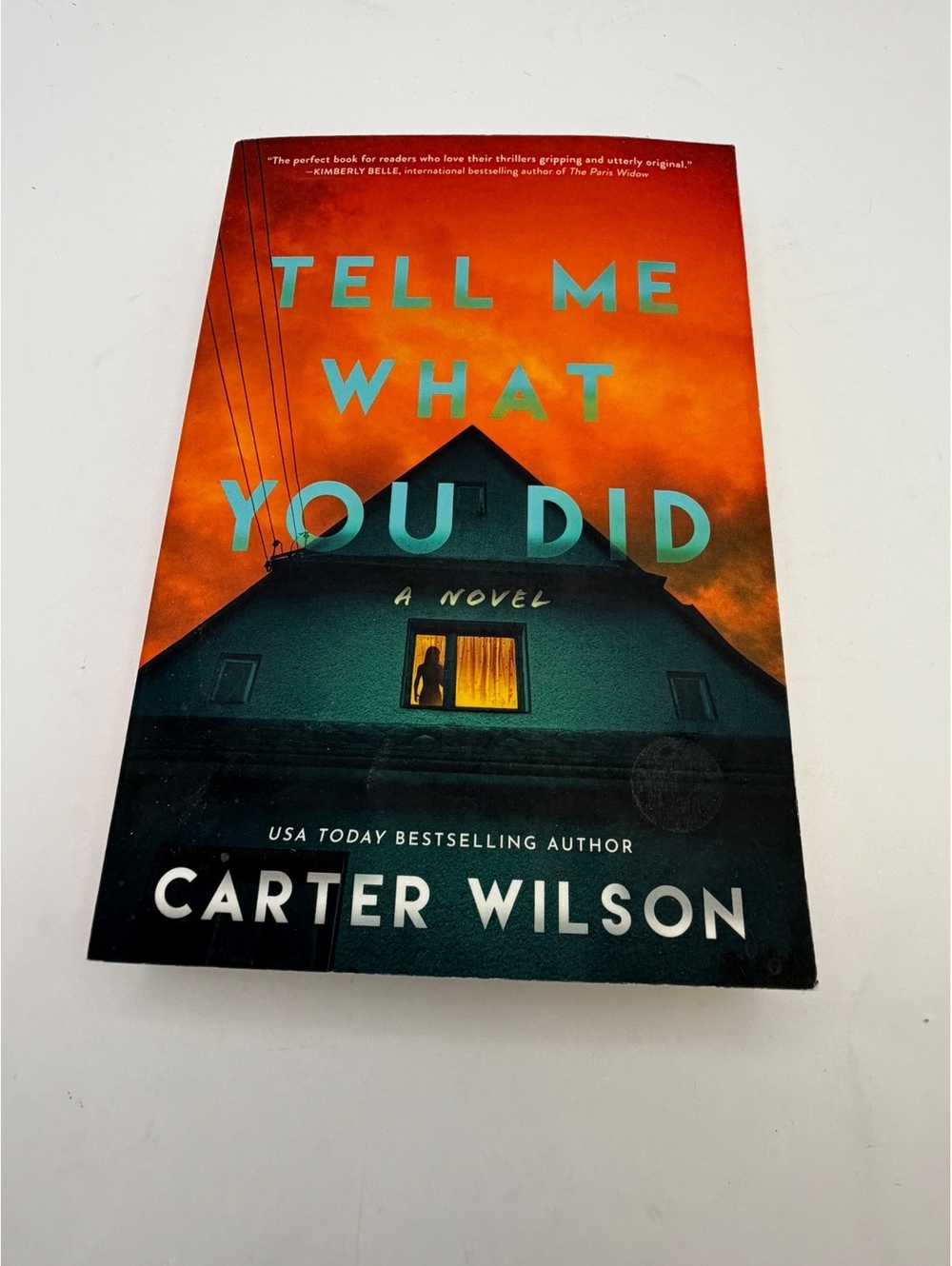 Tell Me What You Did by Carter Wilson paperback book